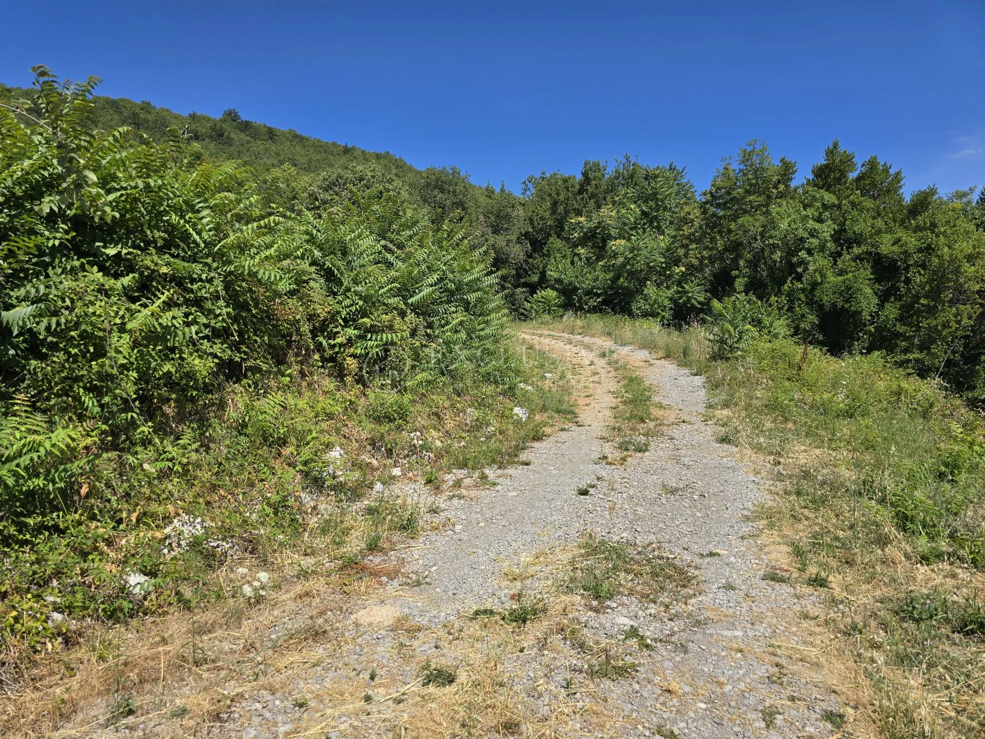 mošćenička draga - atraktivno zemljište s građ. dozvolom 2977m2 s pogledom na more i osami - slika 2