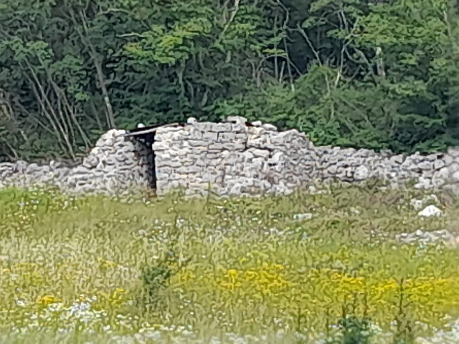 rovinj, poljoprivredno zemljište 21206 m2 sa ucrtanom kućicom 14 m2 - prilika!!! - slika 4