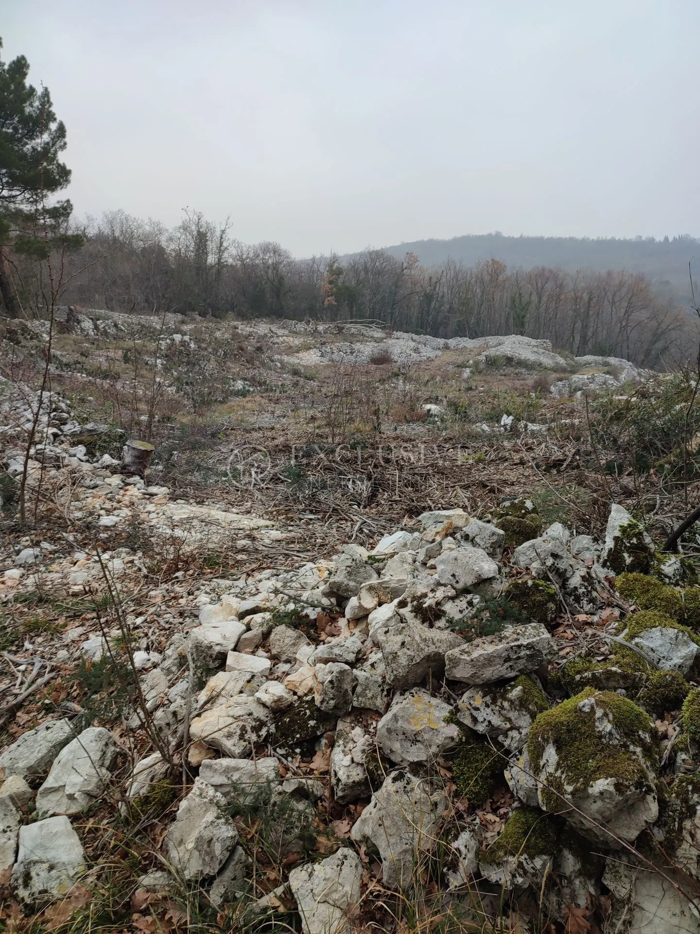 brseč - martina - očišćeno gradjevinsko zemljište od 4240m2 - slika 9