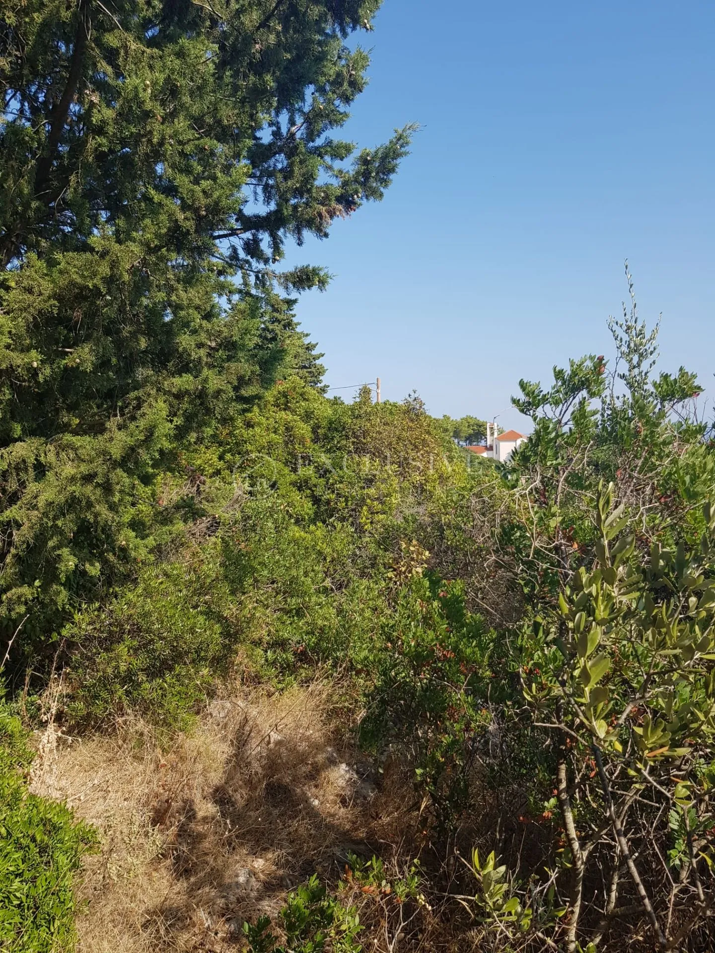 šolta, građevinski teren 1343 m2 sa otvorenim pogledom na more - slika 9