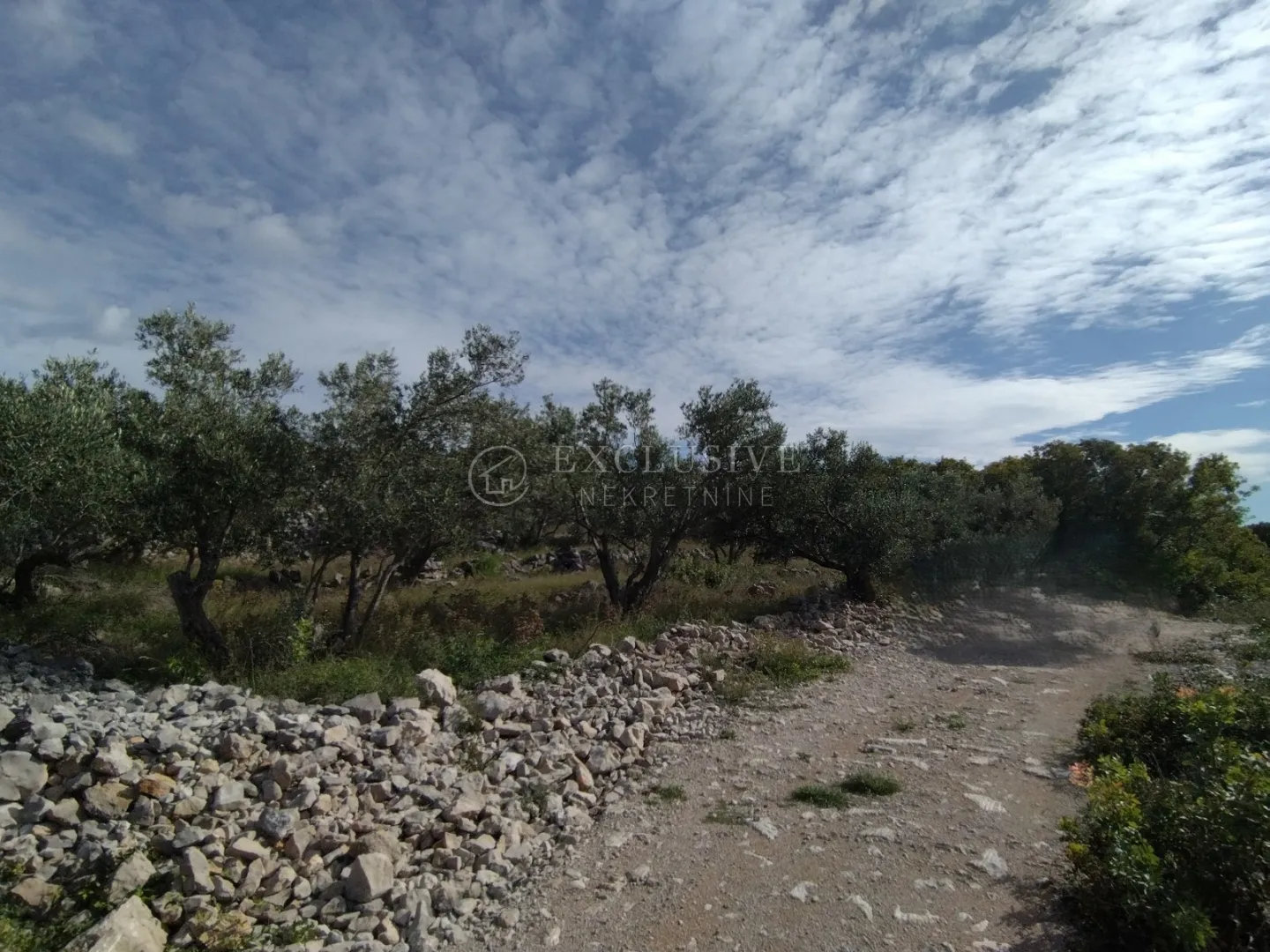 punat, otok krk, poljoprivredno zemljište na atraktivnoj lokaciji 140 m od mora!!! - slika 12