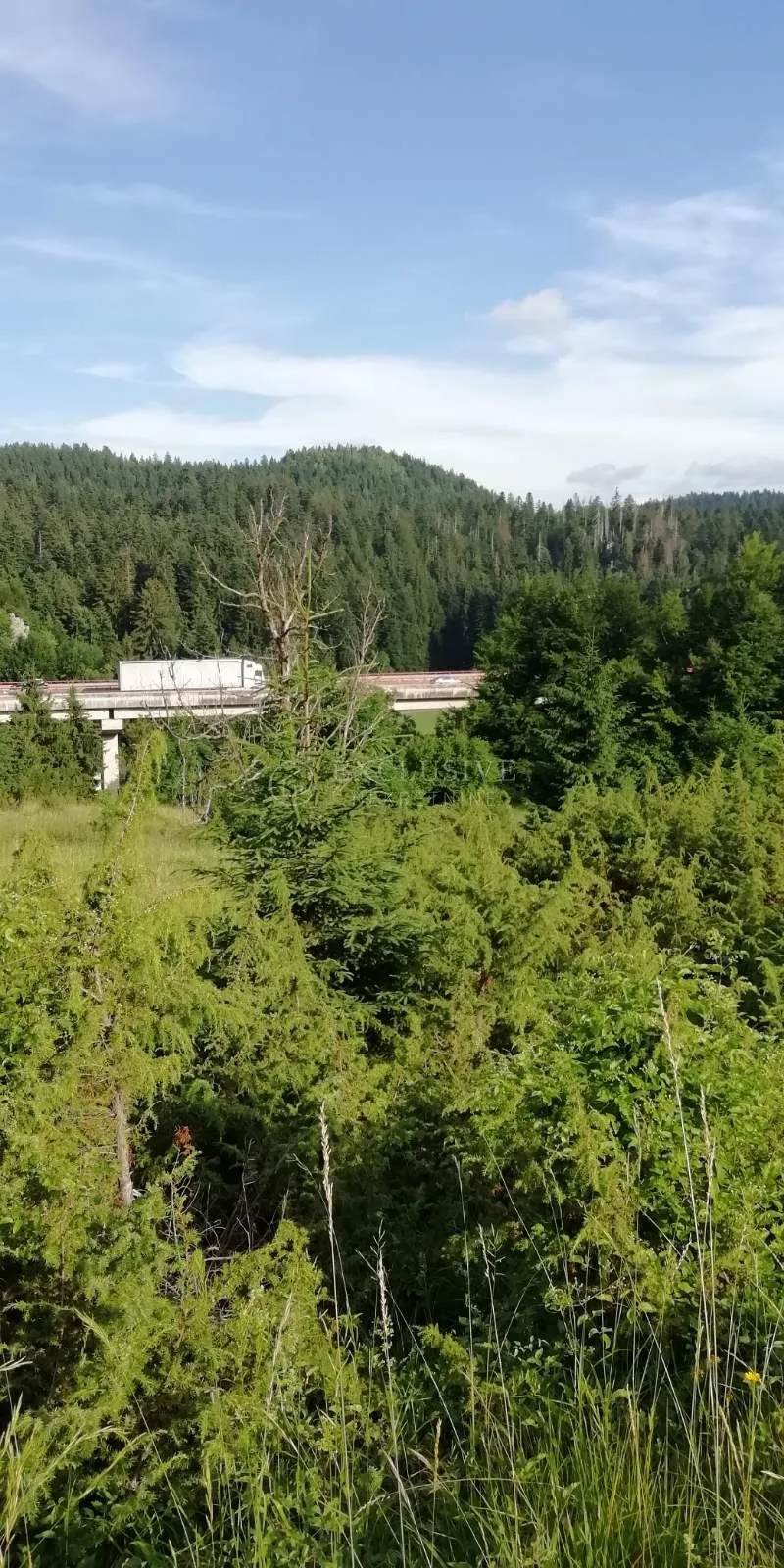 poljoprivredno zemljište 5468m2 u lokvama uz cestu - slika 3