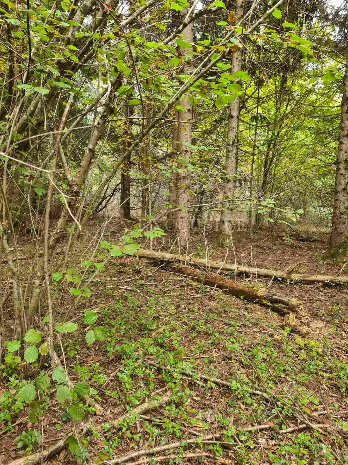 bosiljevo, građevinsko zemljište 1517,79 m2 sa kućom 100m2 i poljoprivrednim 7732,84 m2 - slika 12