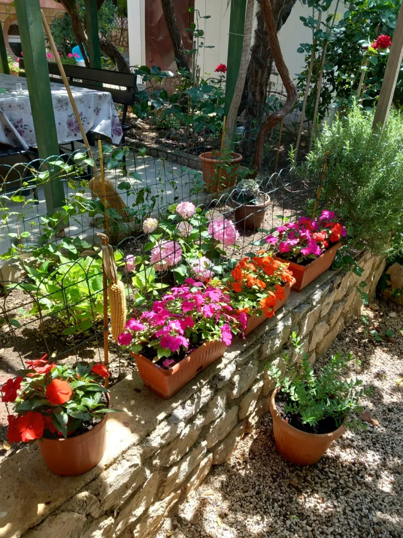 pag, mandre, kuća sa kategoriziranim apartmanima i okućnicom - slika 30
