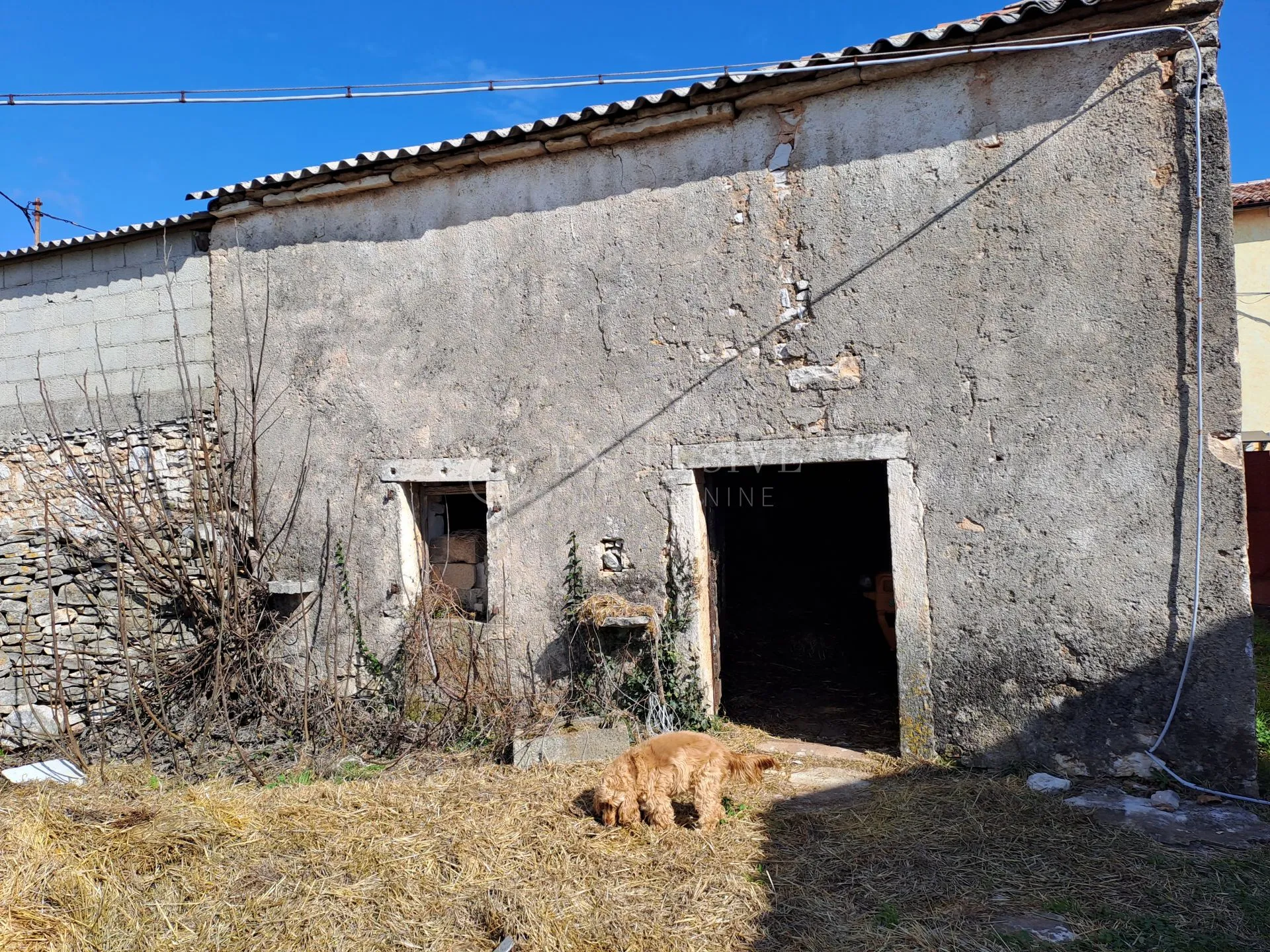 glavani, kuće starine 4 objekta sa 2000 m2 - slika 18