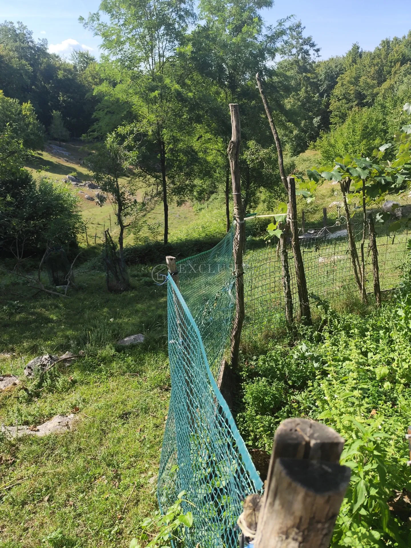 erdelj - duga gora - kuća sa terenom od 1824m2 - slika 17