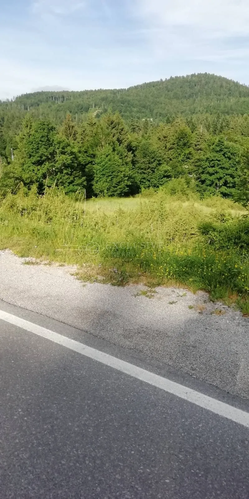 poljoprivredno zemljište 5468m2 u lokvama uz cestu - slika 5