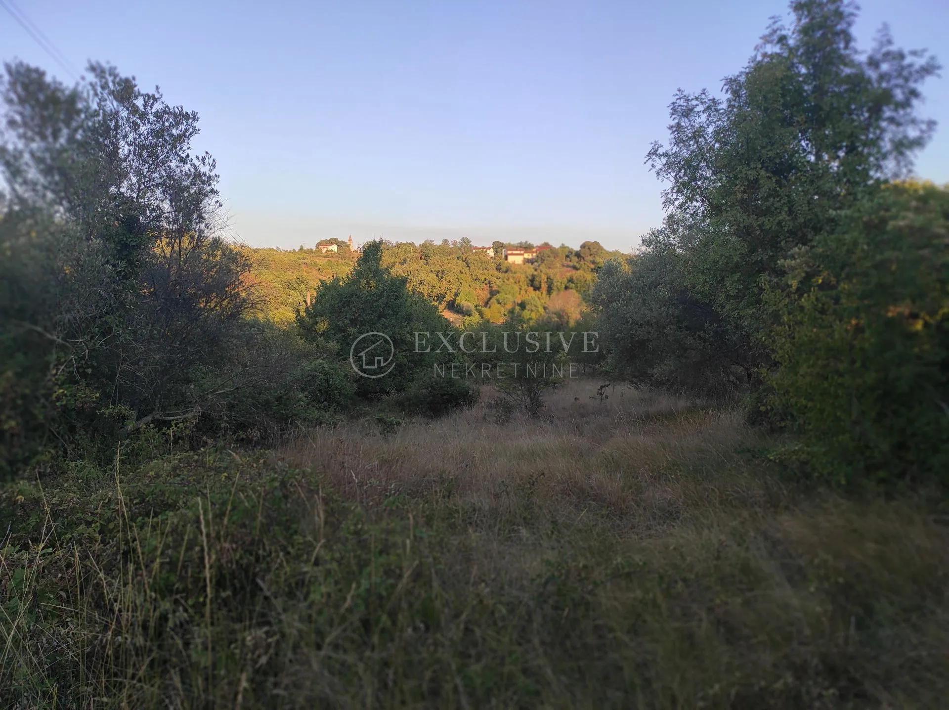 istra – teren sa pogledom na motovun - slika 3