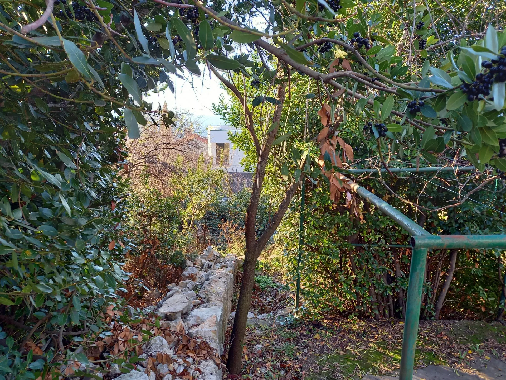 kantrida, građevinsko zemljište 1100 m2 s otvorenim pogledom na more - slika 8