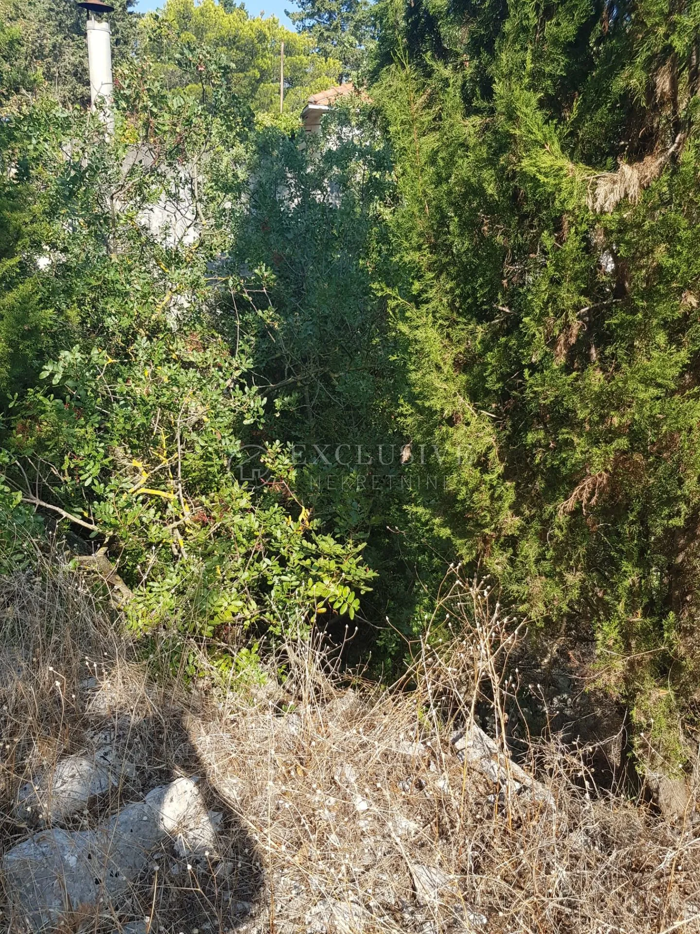šolta, građevinski teren 1343 m2 sa otvorenim pogledom na more - slika 6