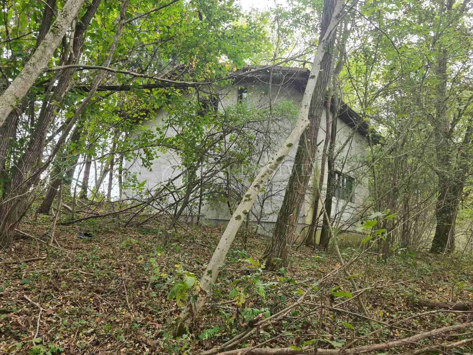 bosiljevo, građevinsko zemljište 1517,79 m2 sa kućom 100m2 i poljoprivrednim 7732,84 m2 - slika 6