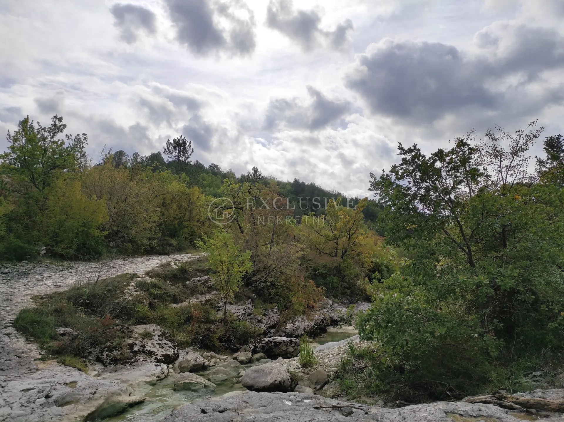 istra - butoniga - 90000 m2 - slika 3