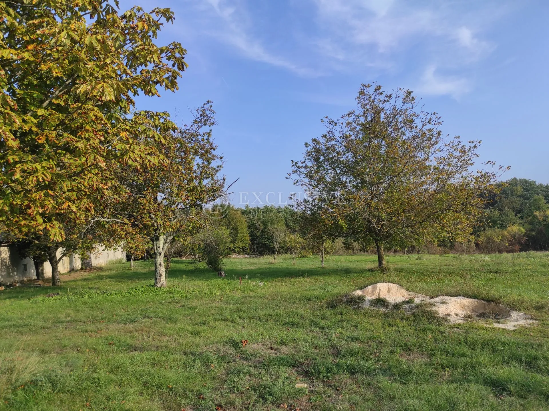 istra- okolica žminja – prilika za investiciju - slika 3