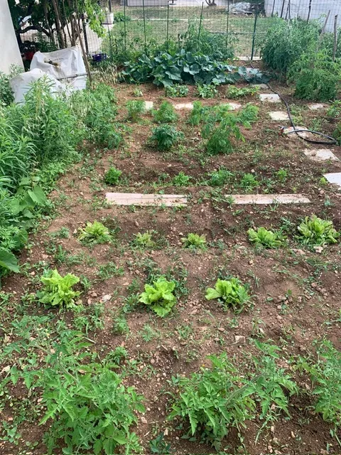 prodaja kuće i građevinskog zemljišta - slika 7