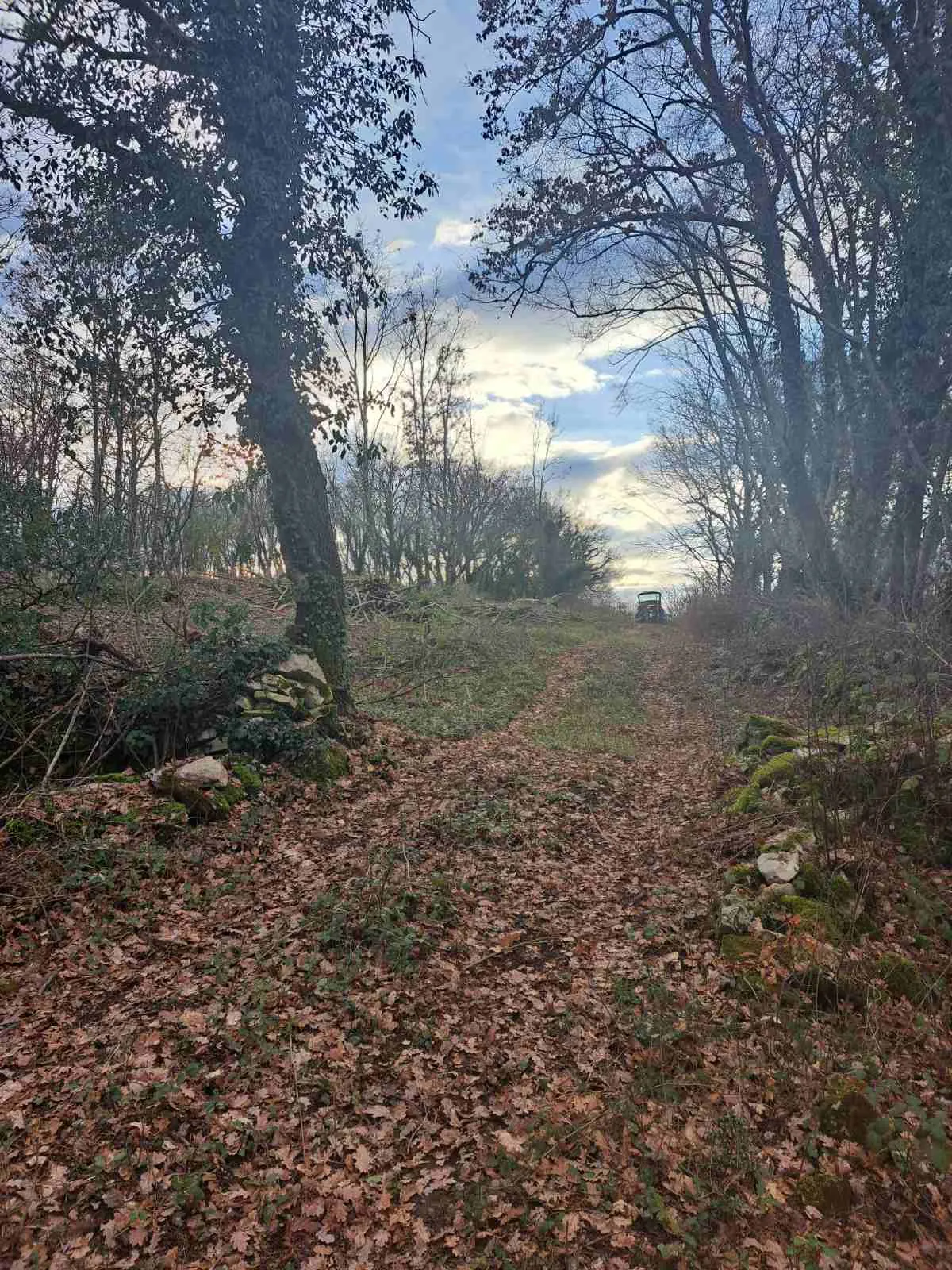 građevinsko zemljište, kringa, tinjan, istra, vel. 1150 m2 - slika 2