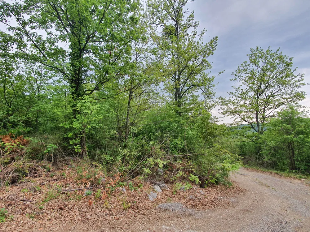 prodaja, građevinska parcela u pićnu, z-627 - slika 4