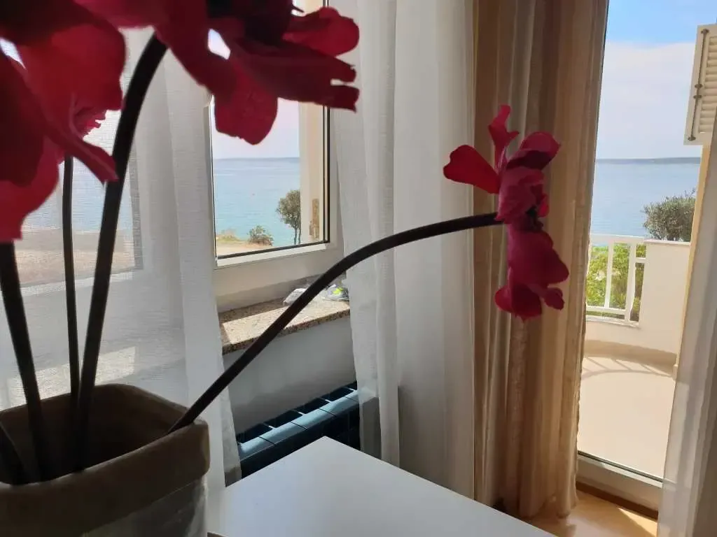 apartmani stargo - slika 5
