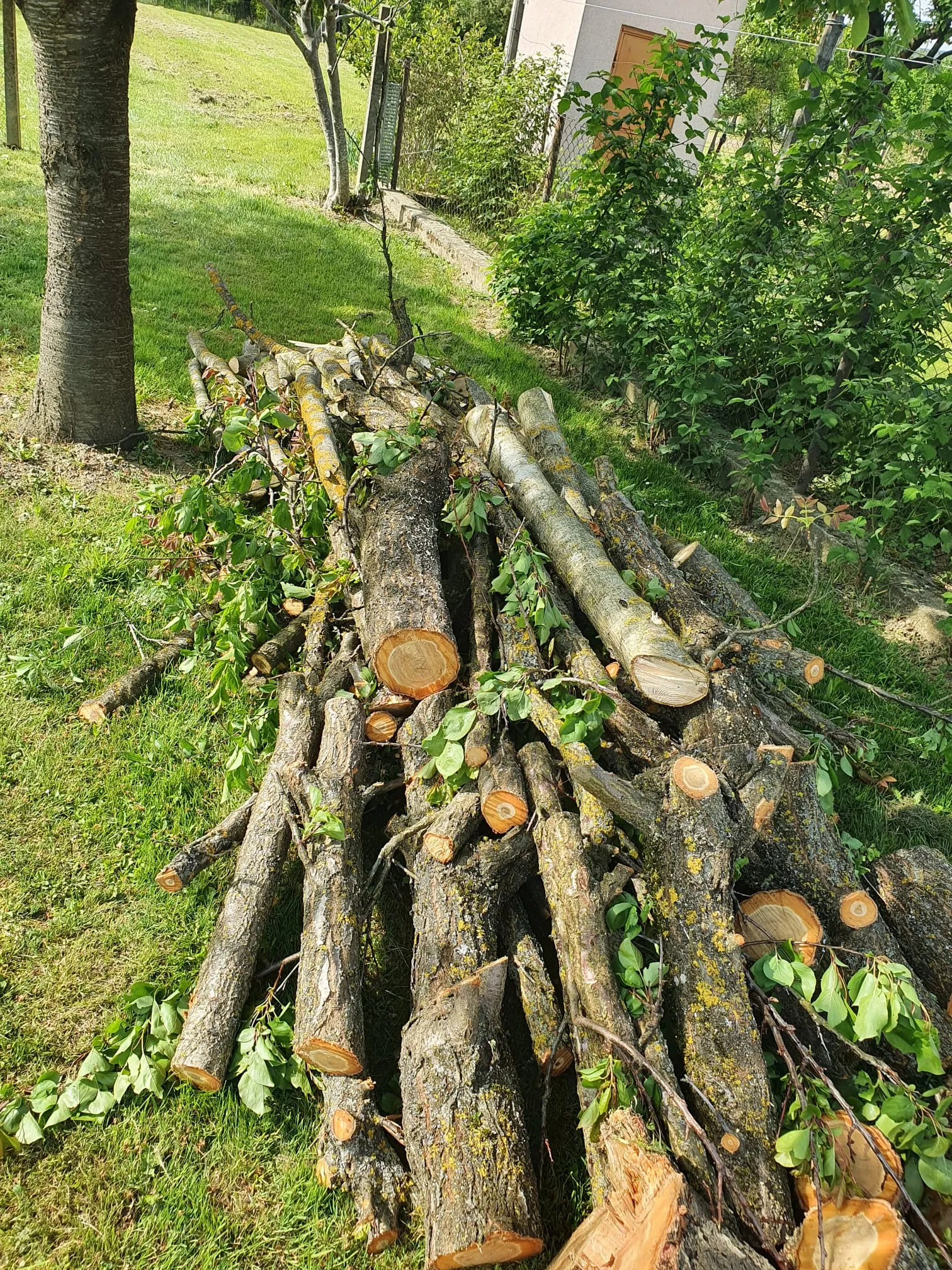 održavanje i čiščenja - slika 2