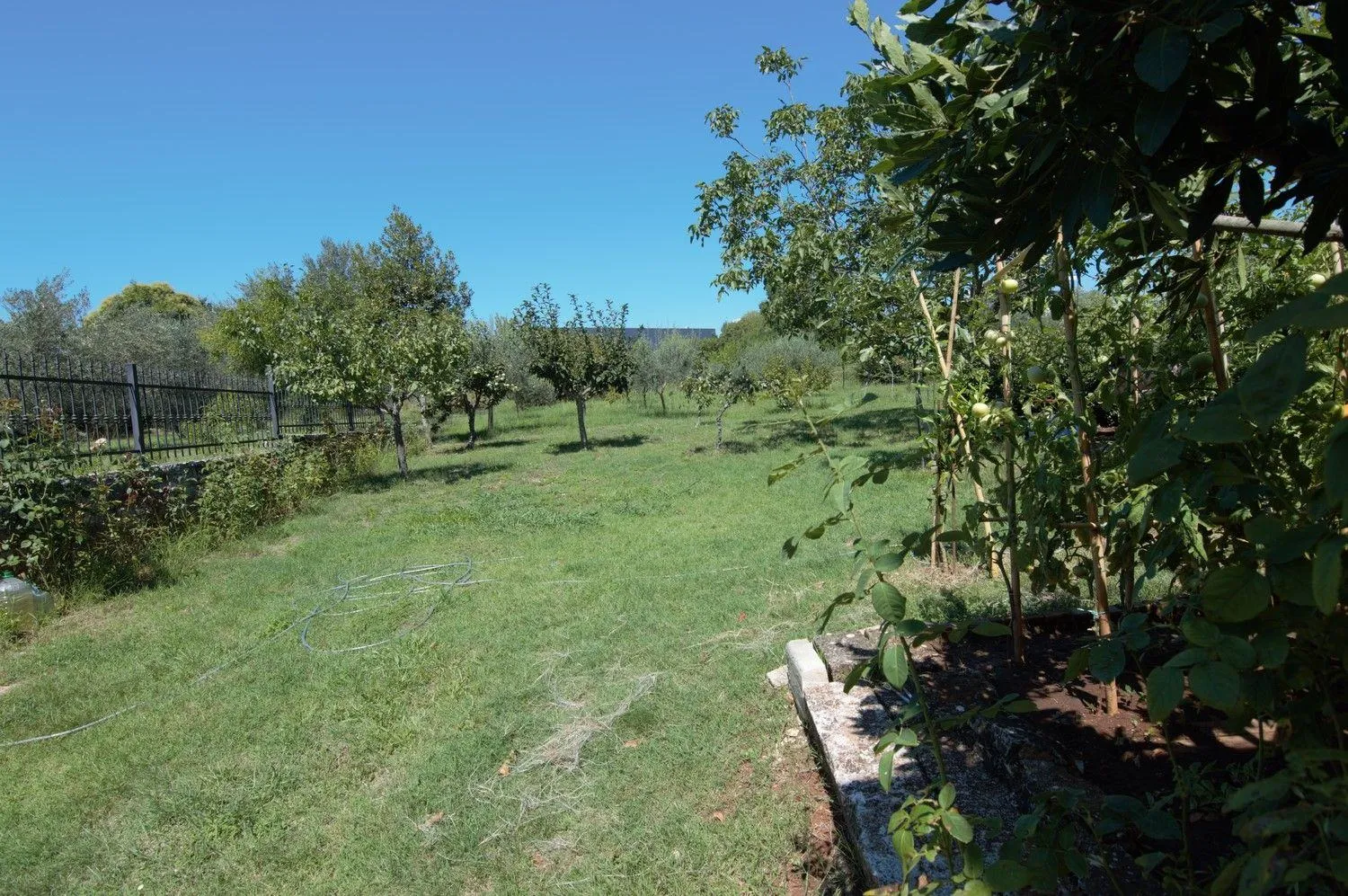 tar-vabriga-kuća sa tri stana i poslovnim prostorom na prodaji - slika 10