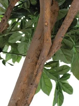 europalms giant chestnut tree, 280cm - slika 3