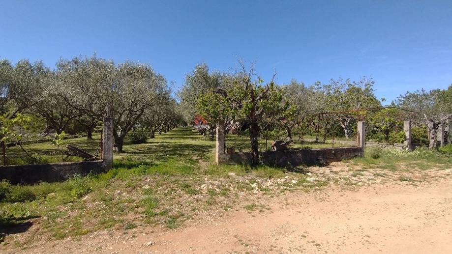 donja jagodnja - građevinsko zemljište 3021m2 - slika 2