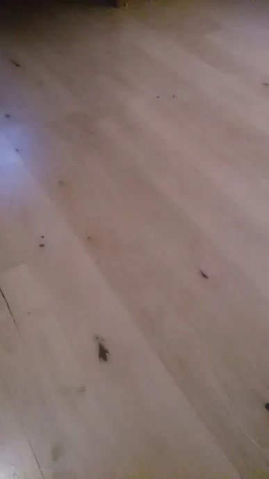 akcija - višeslojni podovi gotovi velikih dimenzija - slika 5