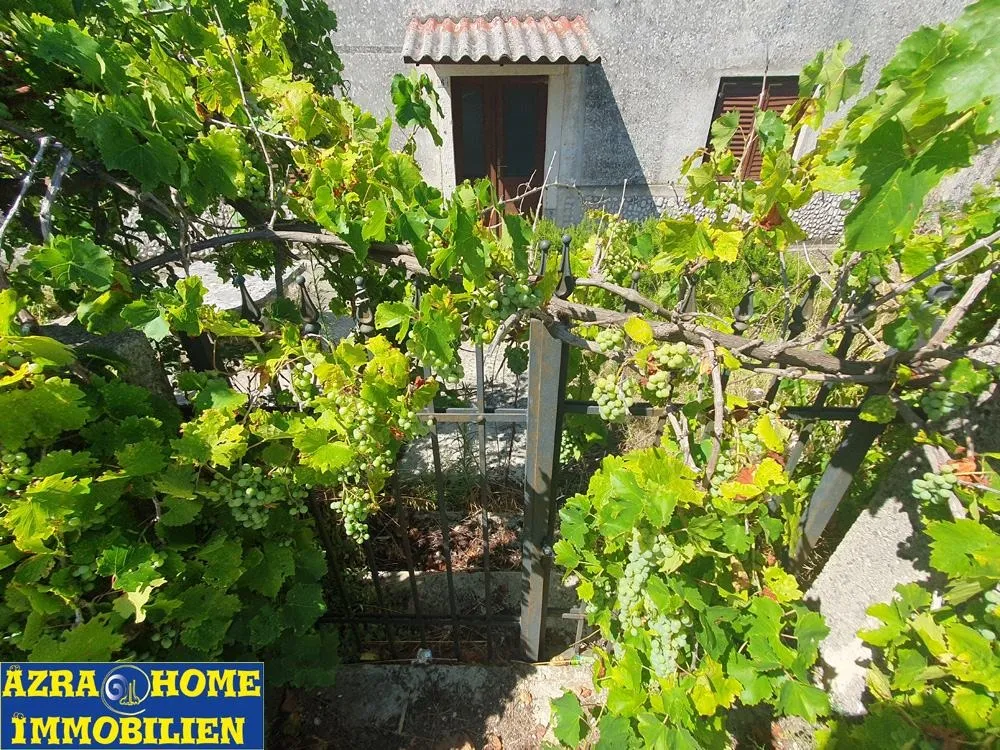 prodaja,istarske kuće, 360 m2, zemljište 3866m2, žminj - slika 6