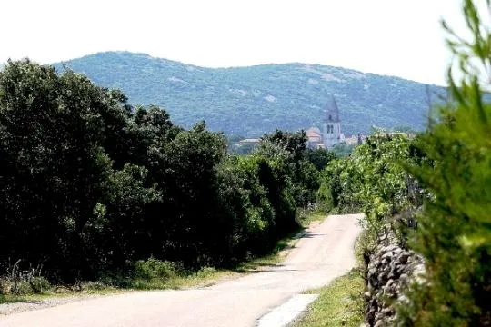 poljoprivredno zemljište, cres, 106000 m2 - slika 2
