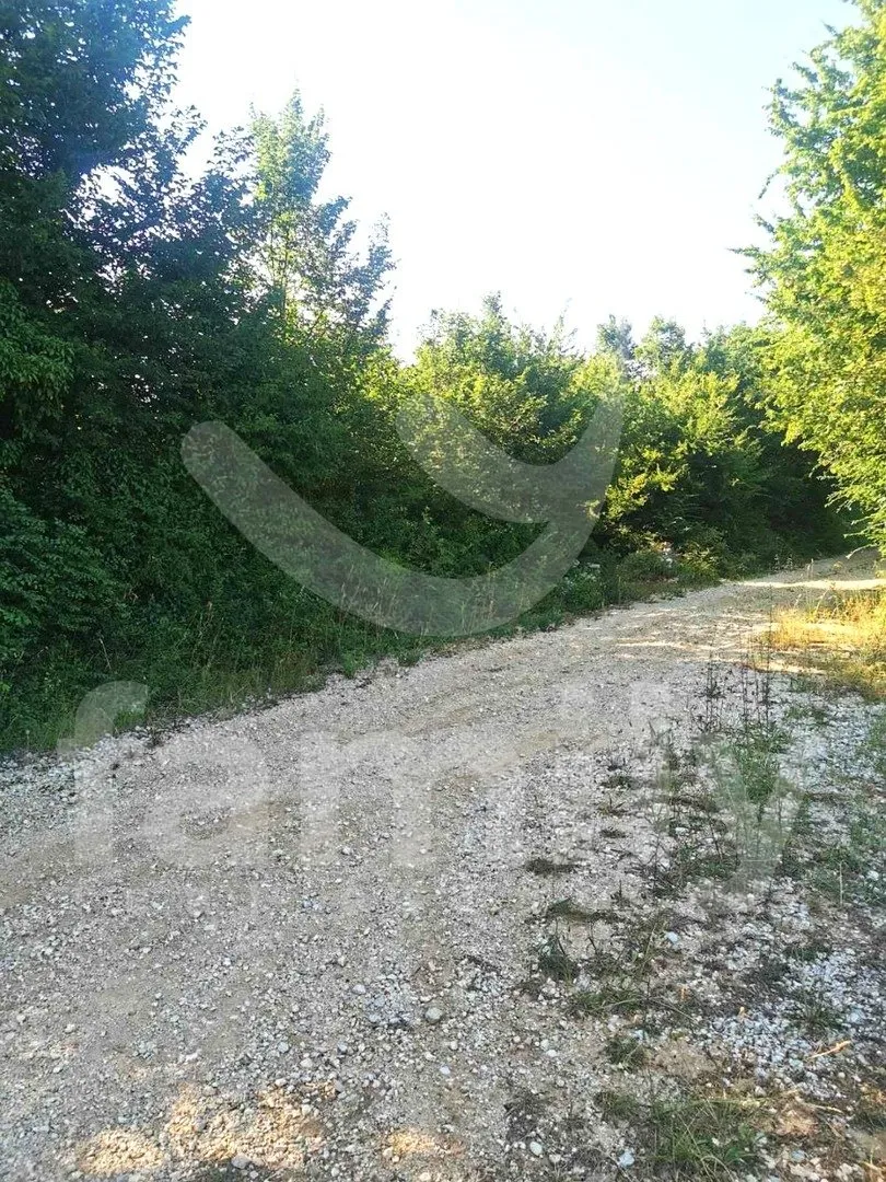prostrano poljoprivredno zemljište uz asfaltiranu cestu - slika 3