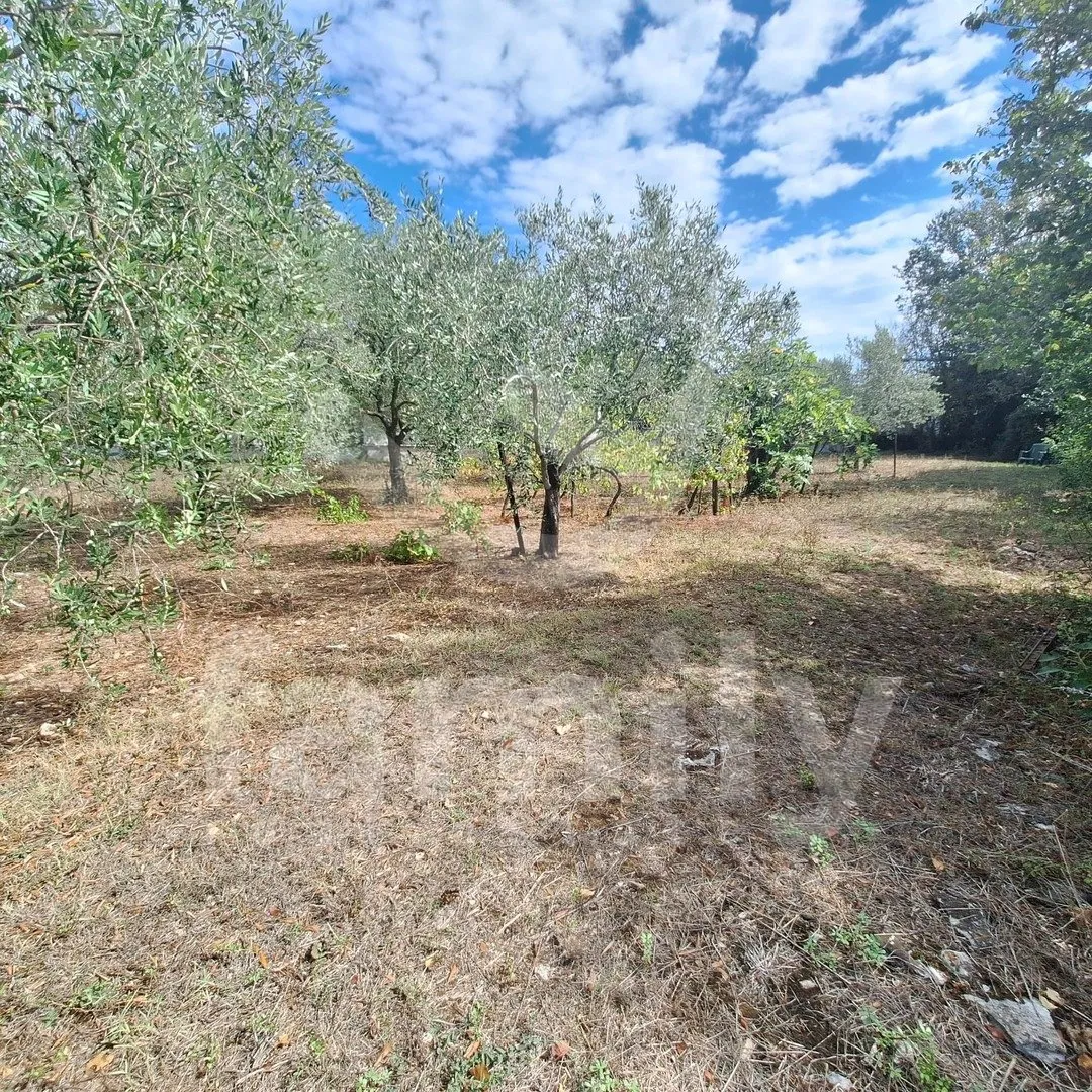 atraktivno poljoprivredno zemljište na ulazu u more - slika 6