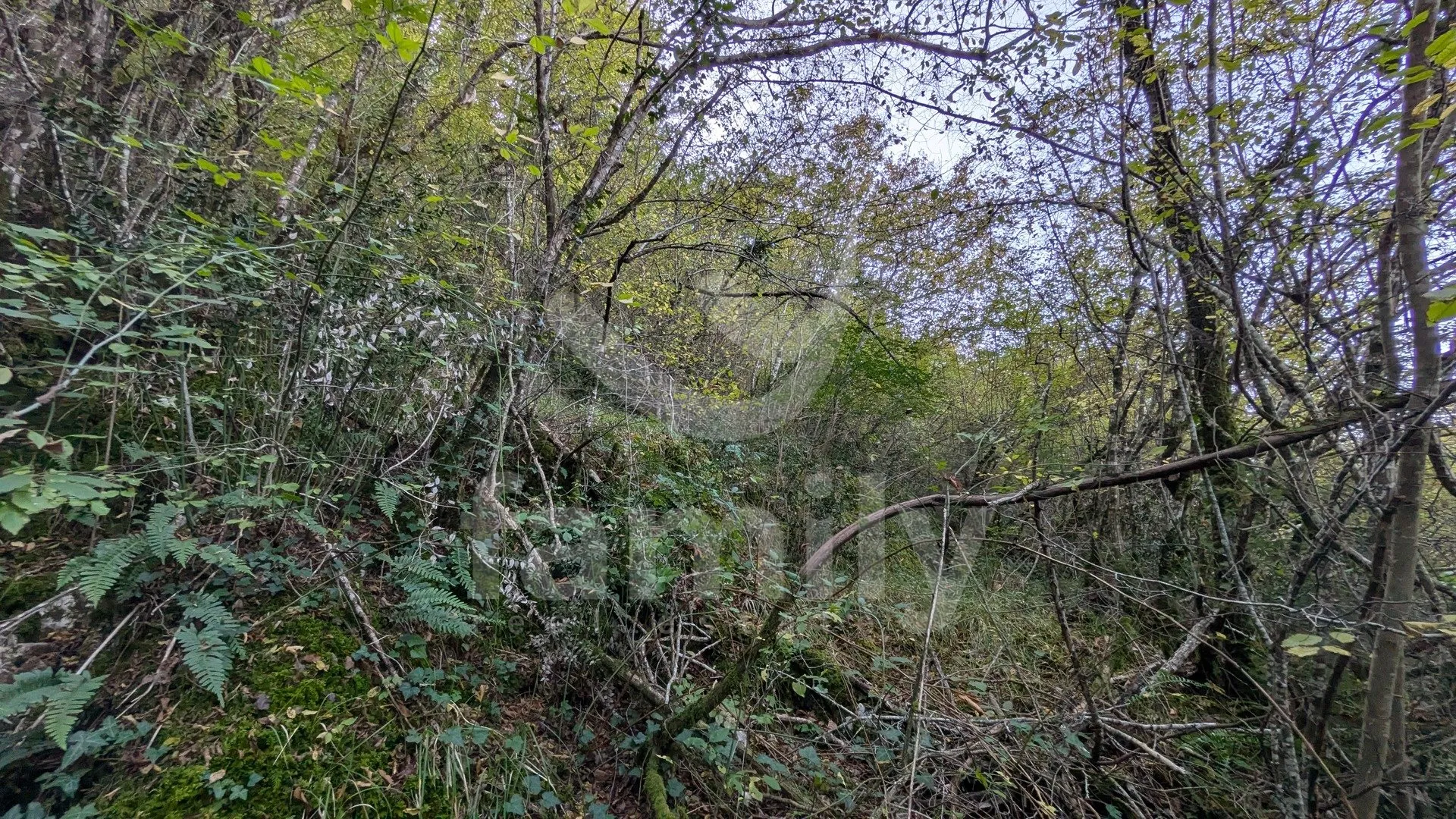 jedinstveno poljoprivredno zemljište sa suhim koritom potoka - slika 3
