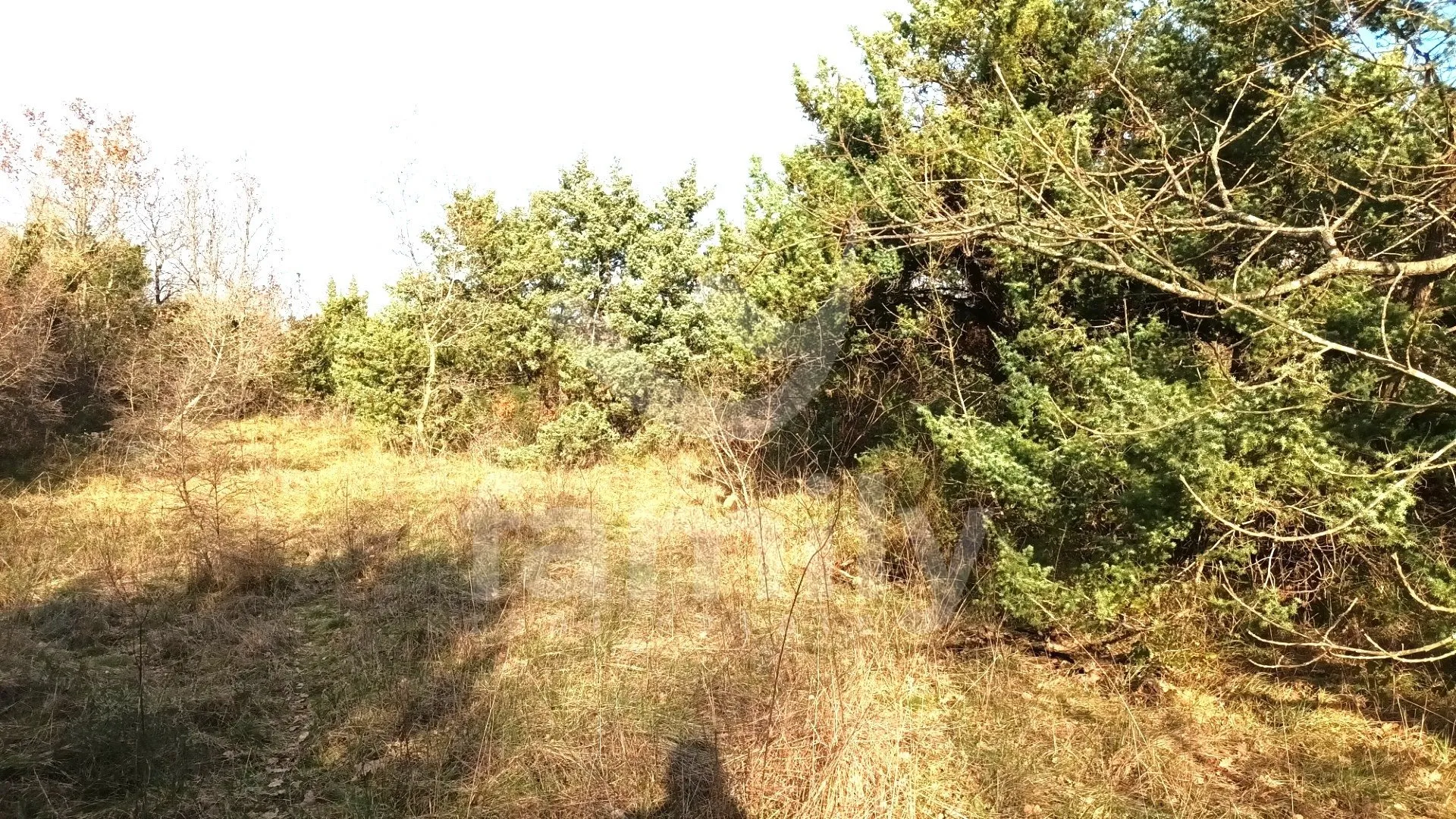lijepo poljoprivredno zemljište u blizini krnice - slika 3