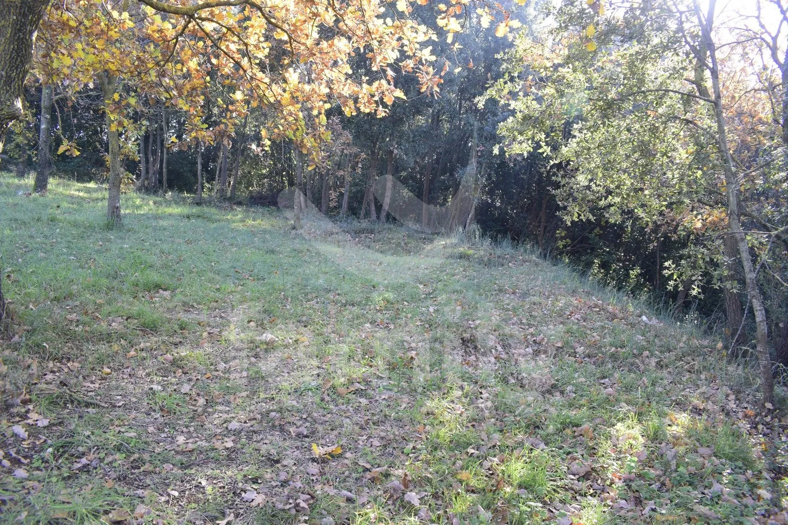 Visoko Potencijalno Građevinsko Zemljište Na Odličnoj Lokaciji - Pula