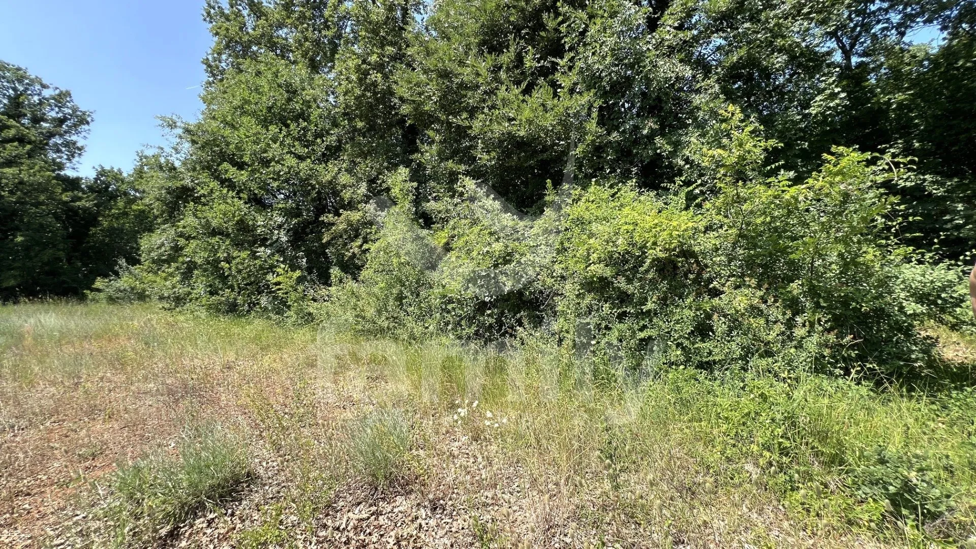 ekskluzivno iznimno prostrana šuma u krnici - slika 4