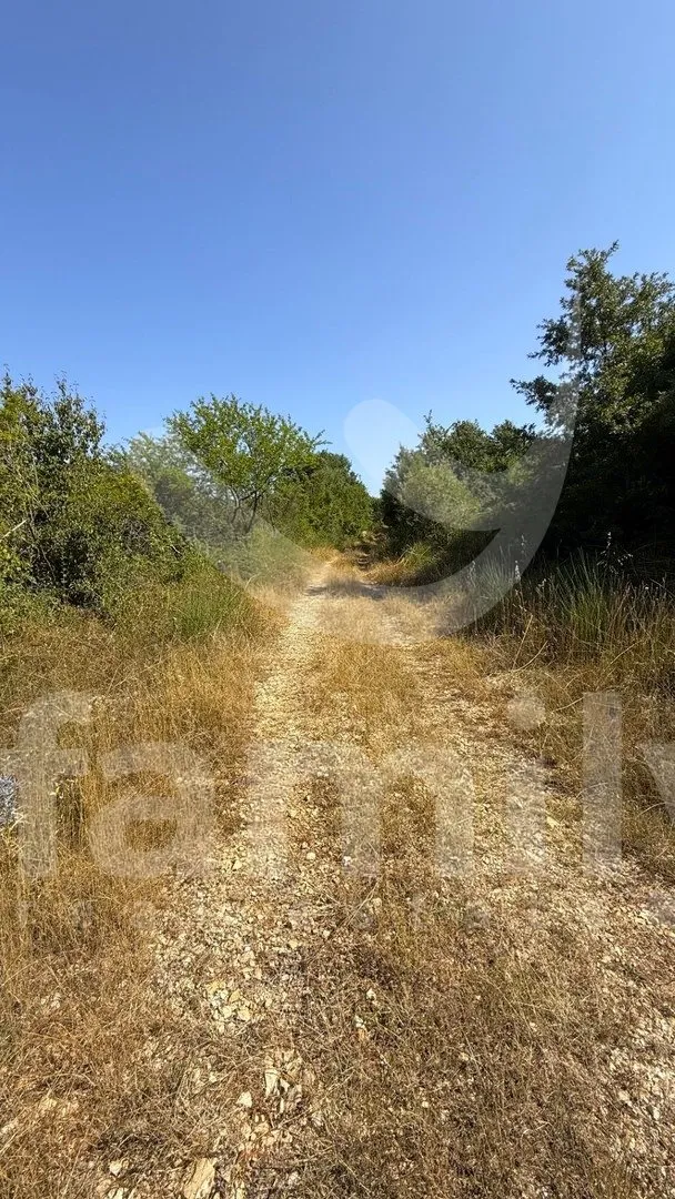 prodaja poljoprivrednog zemljišta vodnjan - slika 5