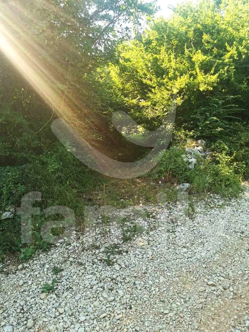 prostrano poljoprivredno zemljište uz asfaltiranu cestu - slika 4