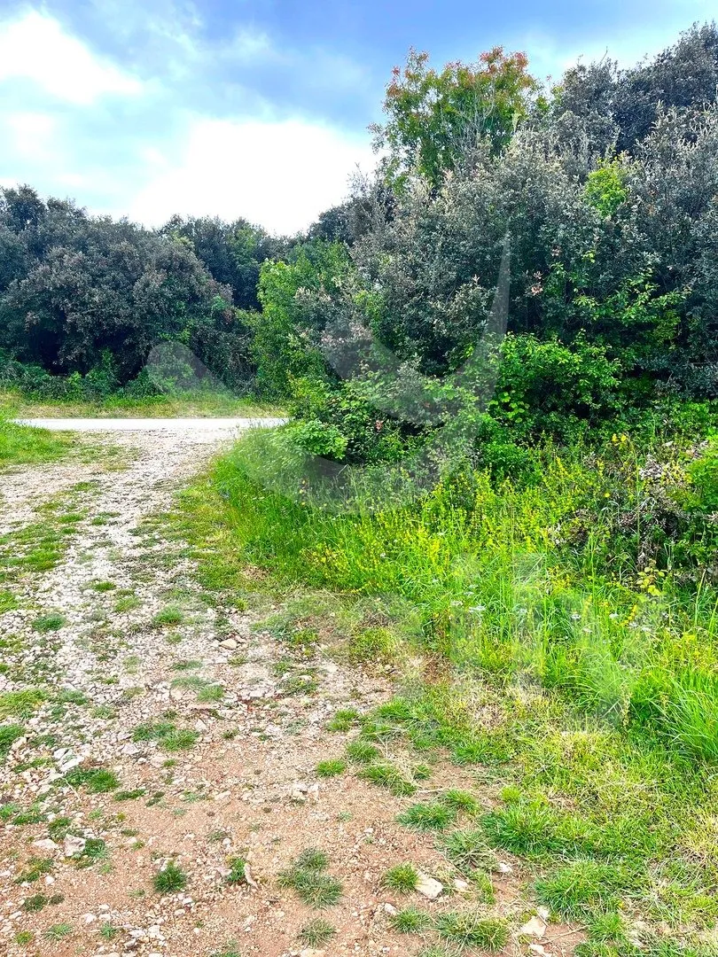 atraktivno građevinsko zemljište-turističke namjene 300 m od mora - slika 3