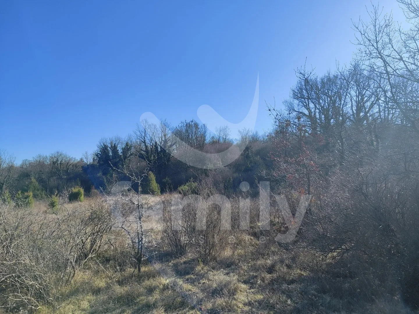Zemljište - Vinograd - Juršići, Svetvinčenat