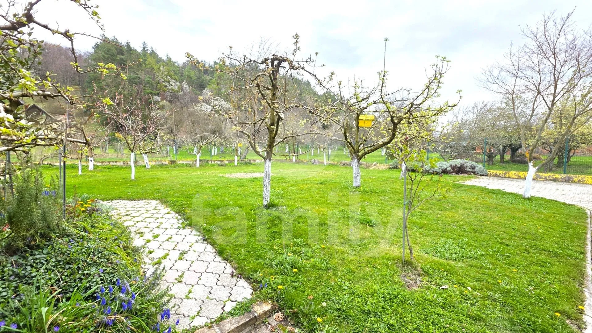 kuća na top lokaciji u velikoj sa velikim potencijalom - slika 25