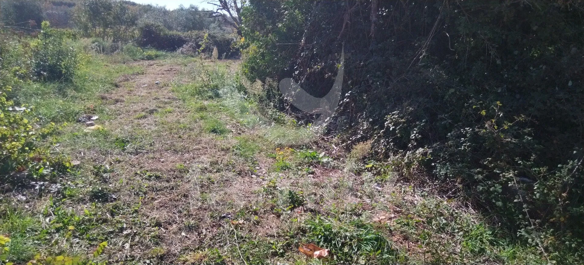 lijepo poljoprivredno zemljište u blizini vodnjana - slika 3