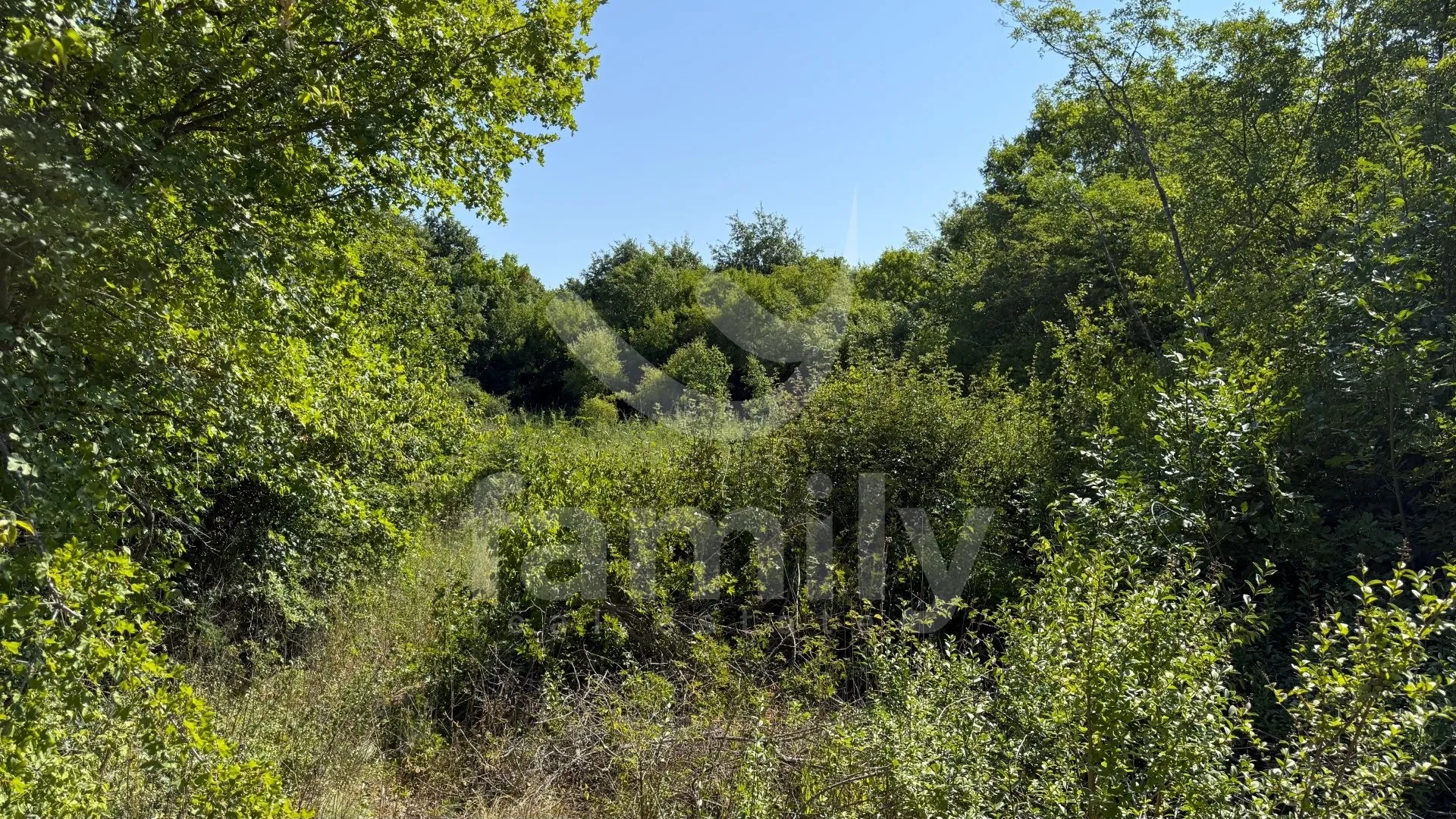 prodaja poljoprivrednih zemljišta svetvinčanat - slika 2
