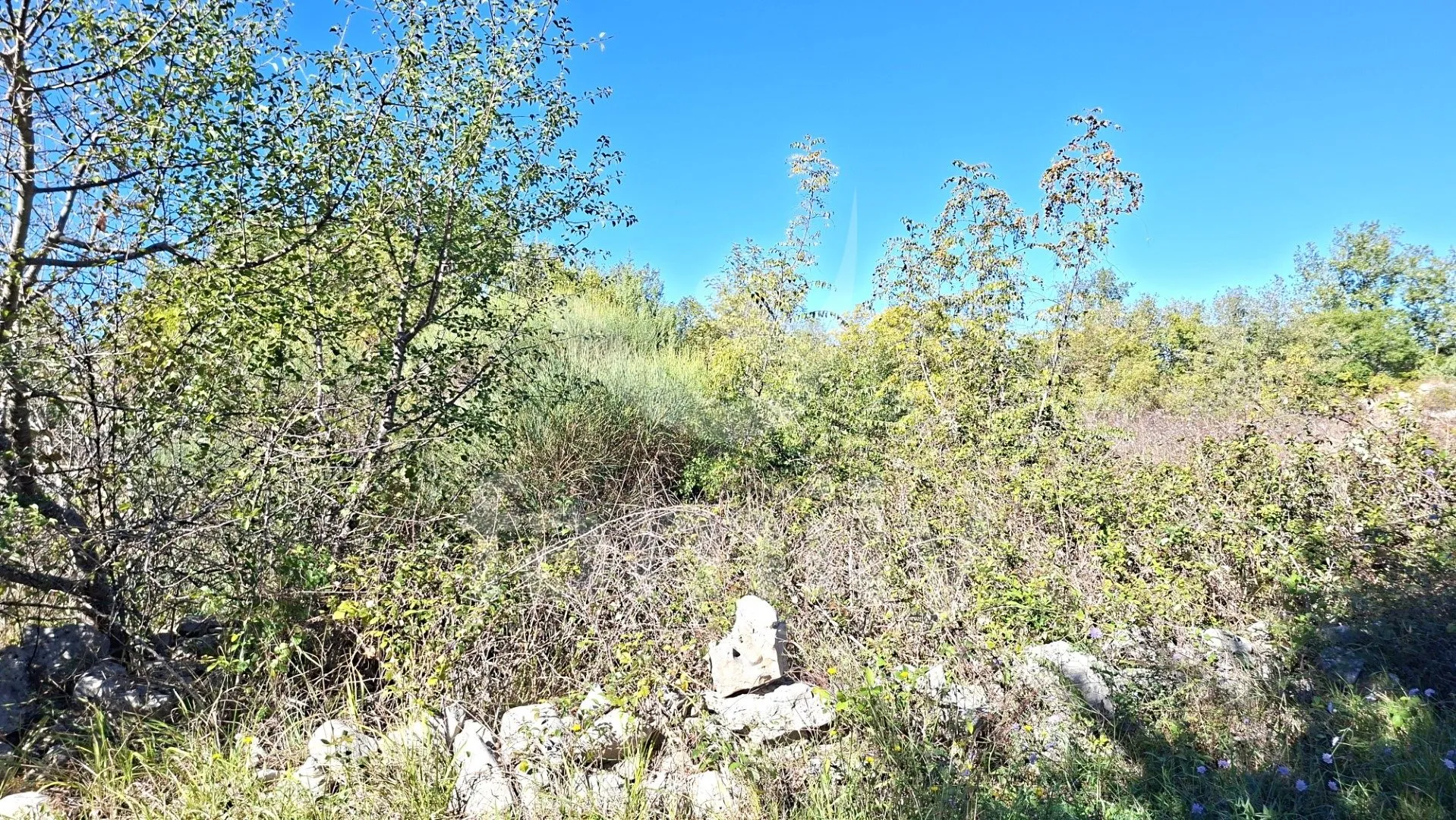 ekskluzivno zemljište sa dokumentacijom za objekt - slika 9