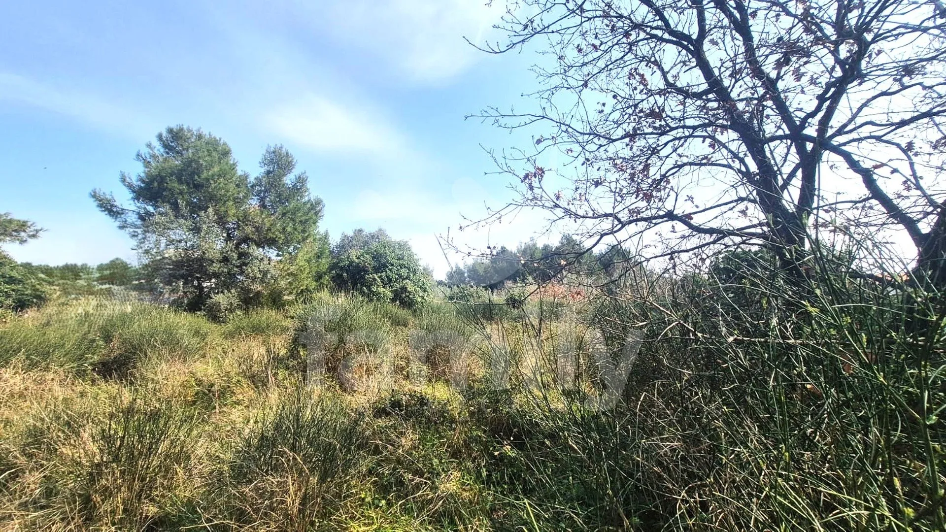 Prodaja Građevinskog Zemljišta Na Atraktivnoj Lokaciji - Medulin
