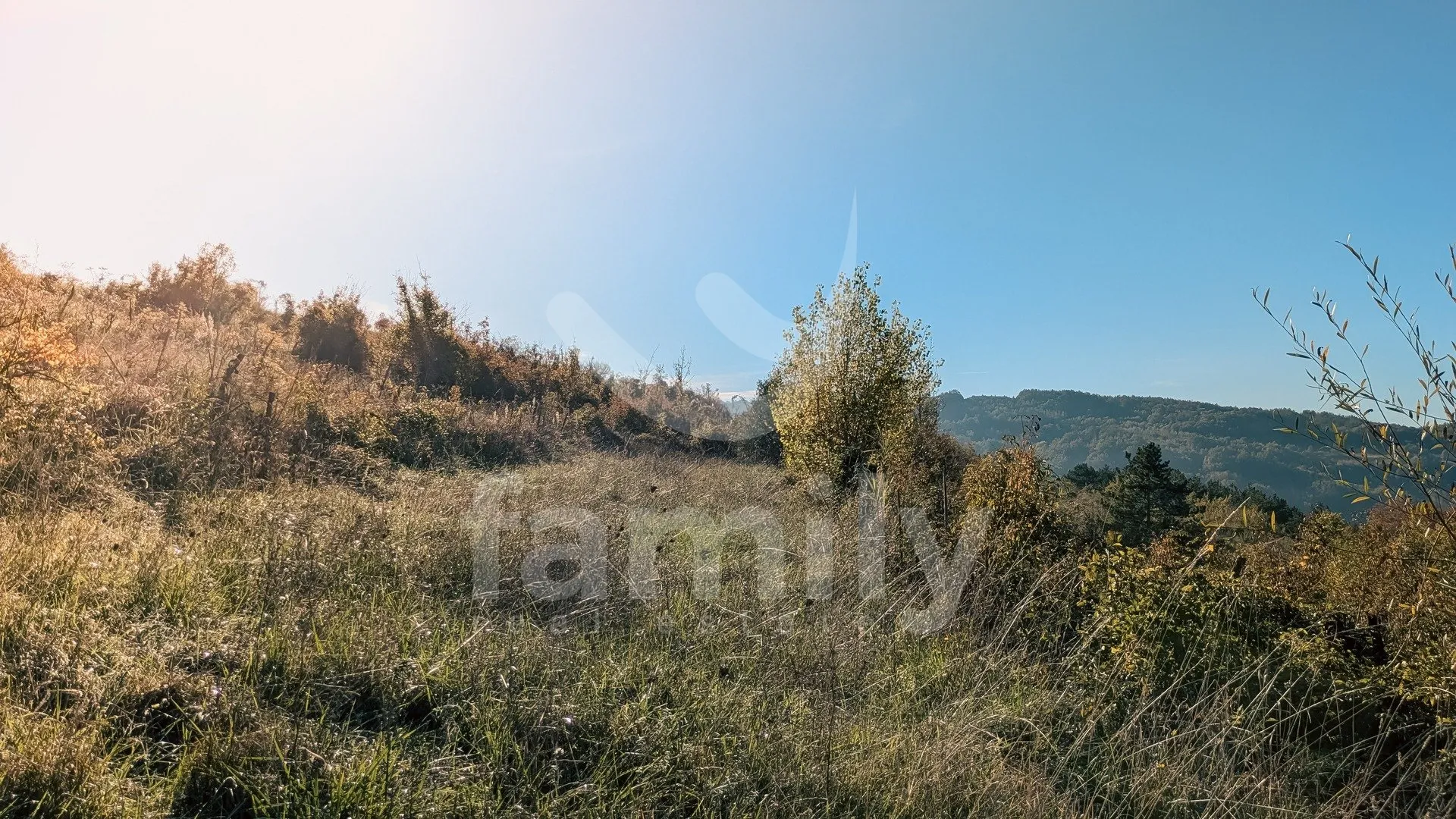 prekrasno građevinsko zemljište sa pogledom na motovun - slika 4