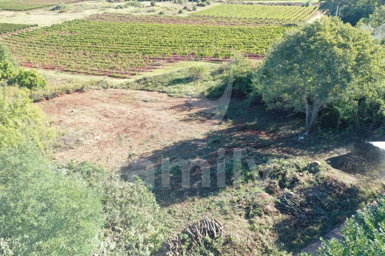 Atraktivno Građevinsko Zemljište Sa Pogledom Na Vinograde - Višnjan