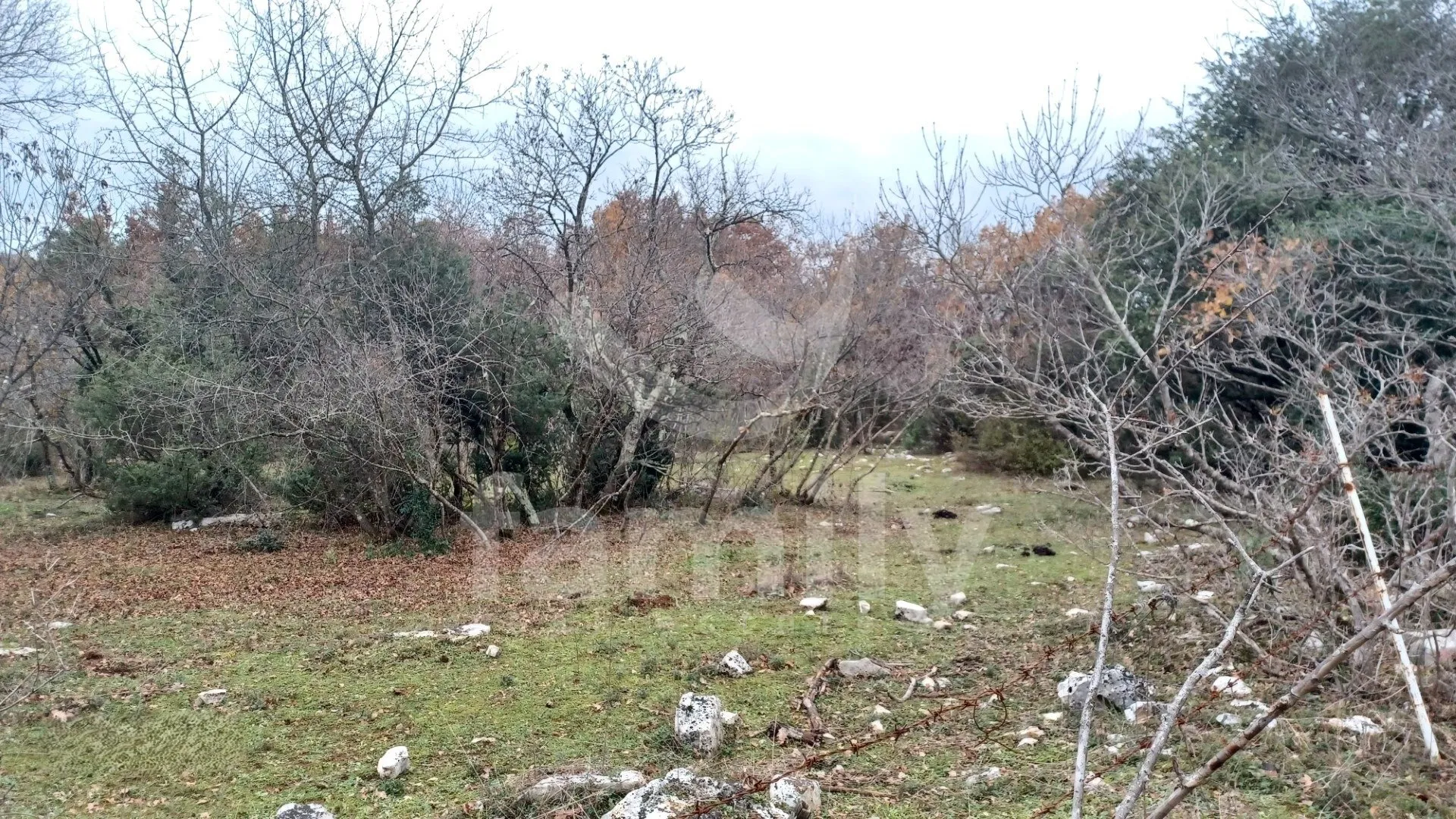poljoprivredno zemljište nedaleko od grada vodnjana - slika 2