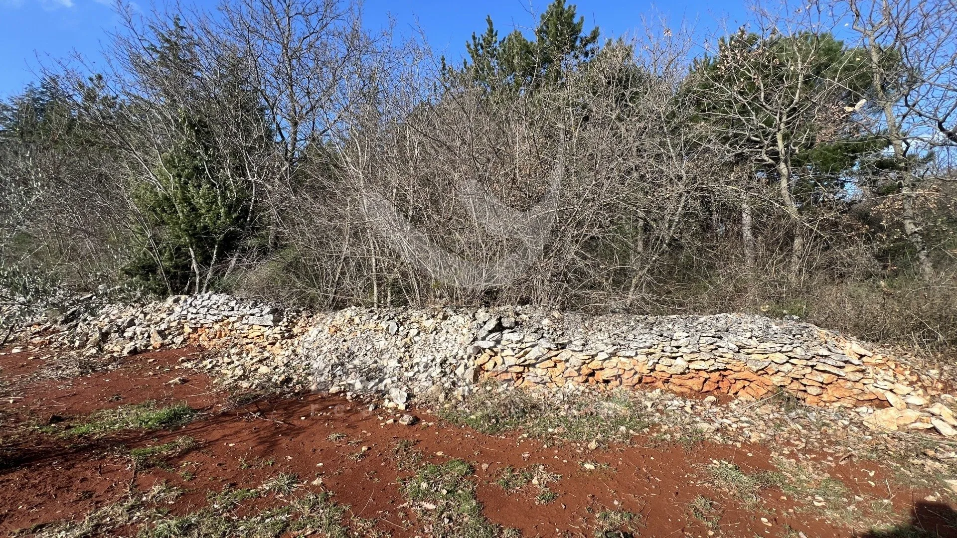 eksluzivna prodaja prostrane šume u krnici - slika 2
