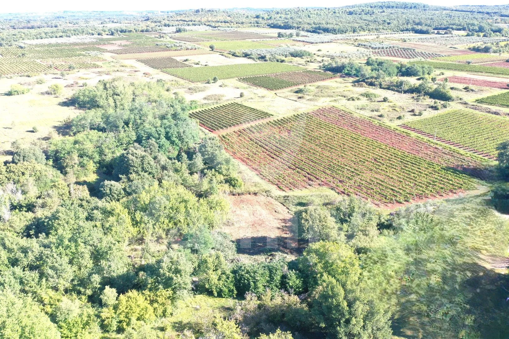 atraktivno građevinsko zemljište sa pogledom na vinograde - slika 6
