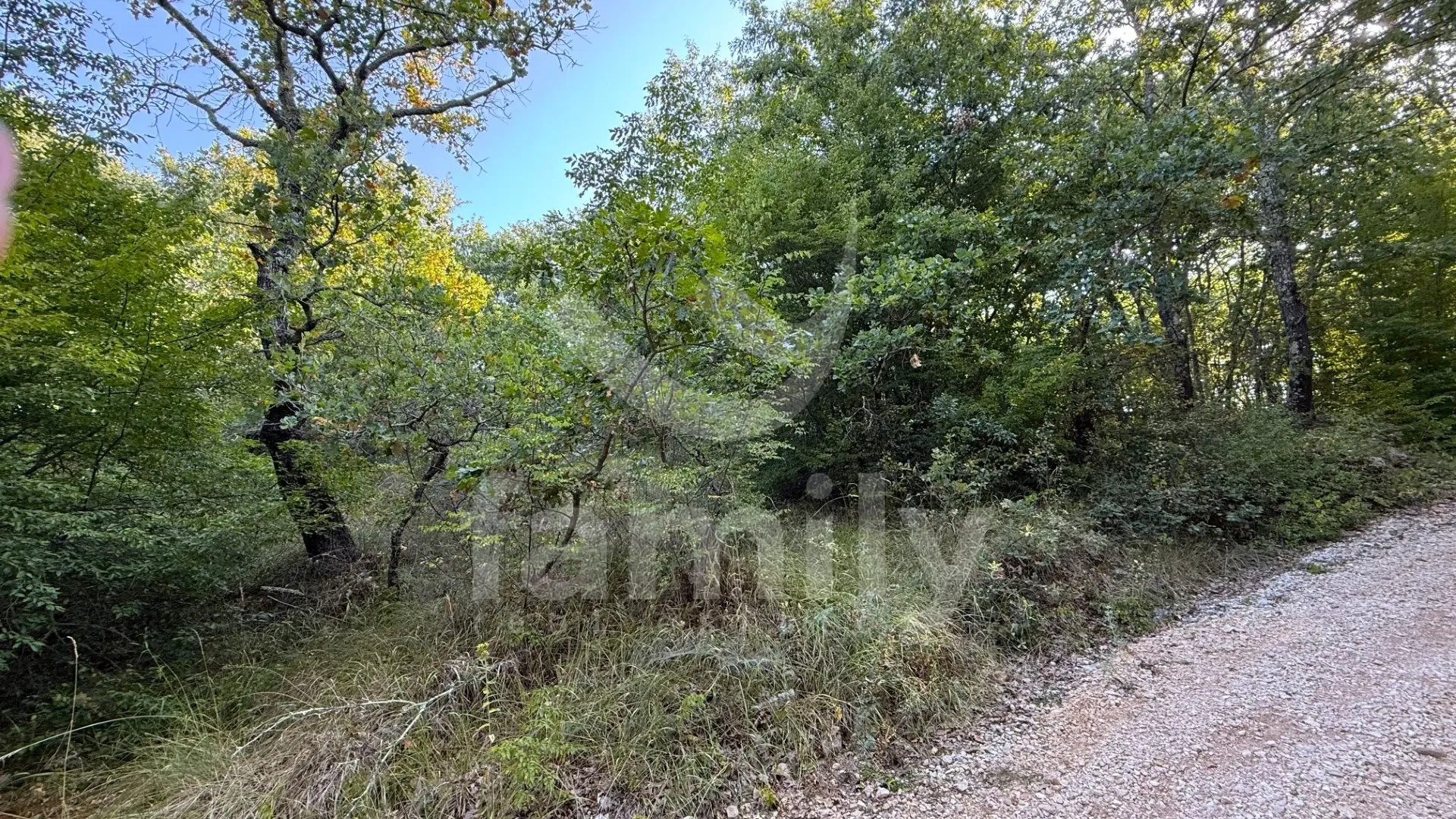 prodaja poljoprivredno zemljište šuma vodnjan - slika 4