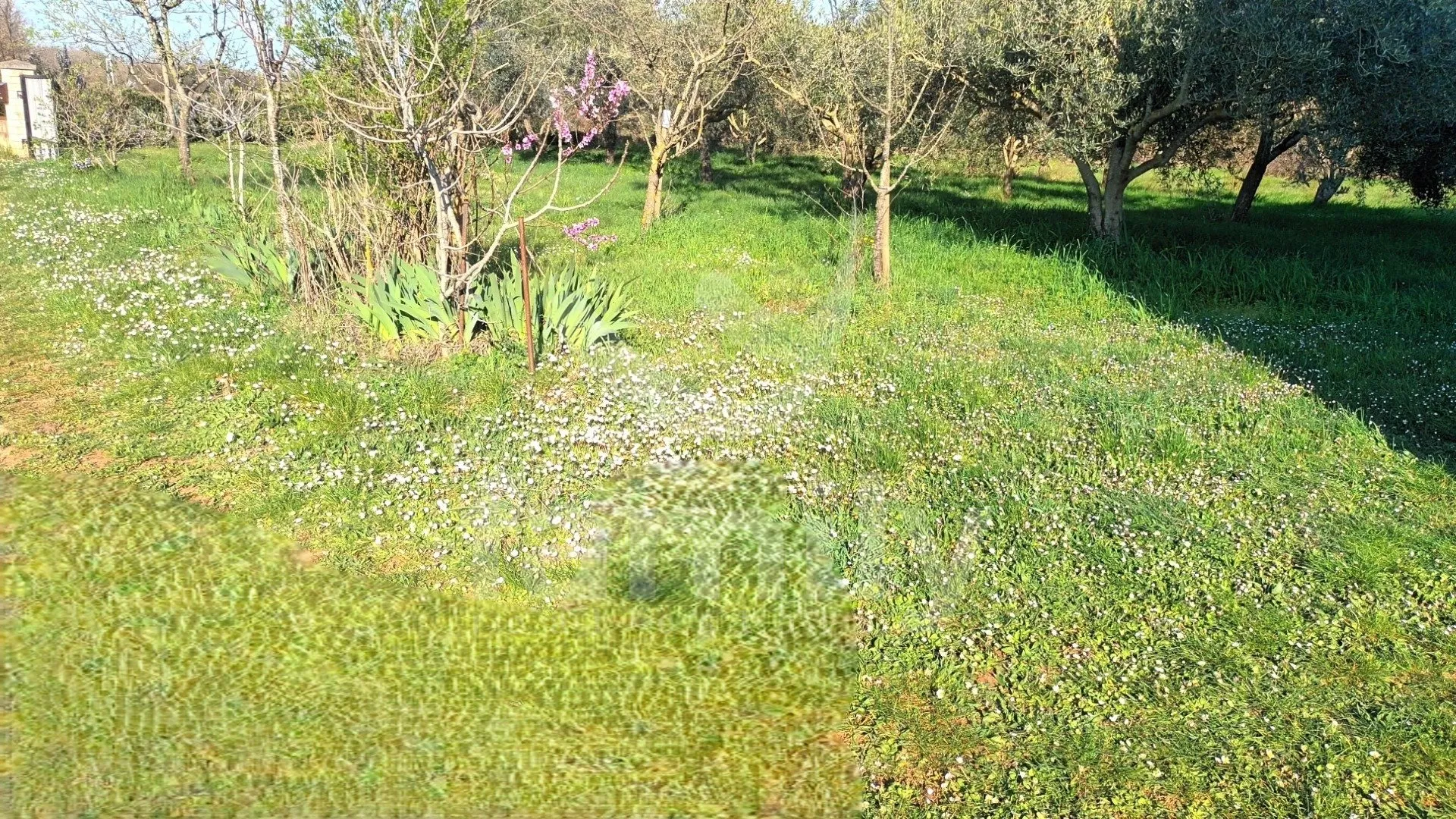 prodaja kuće u marčani – prostor, potencijal i mir na jednoj lokaciji - slika 4